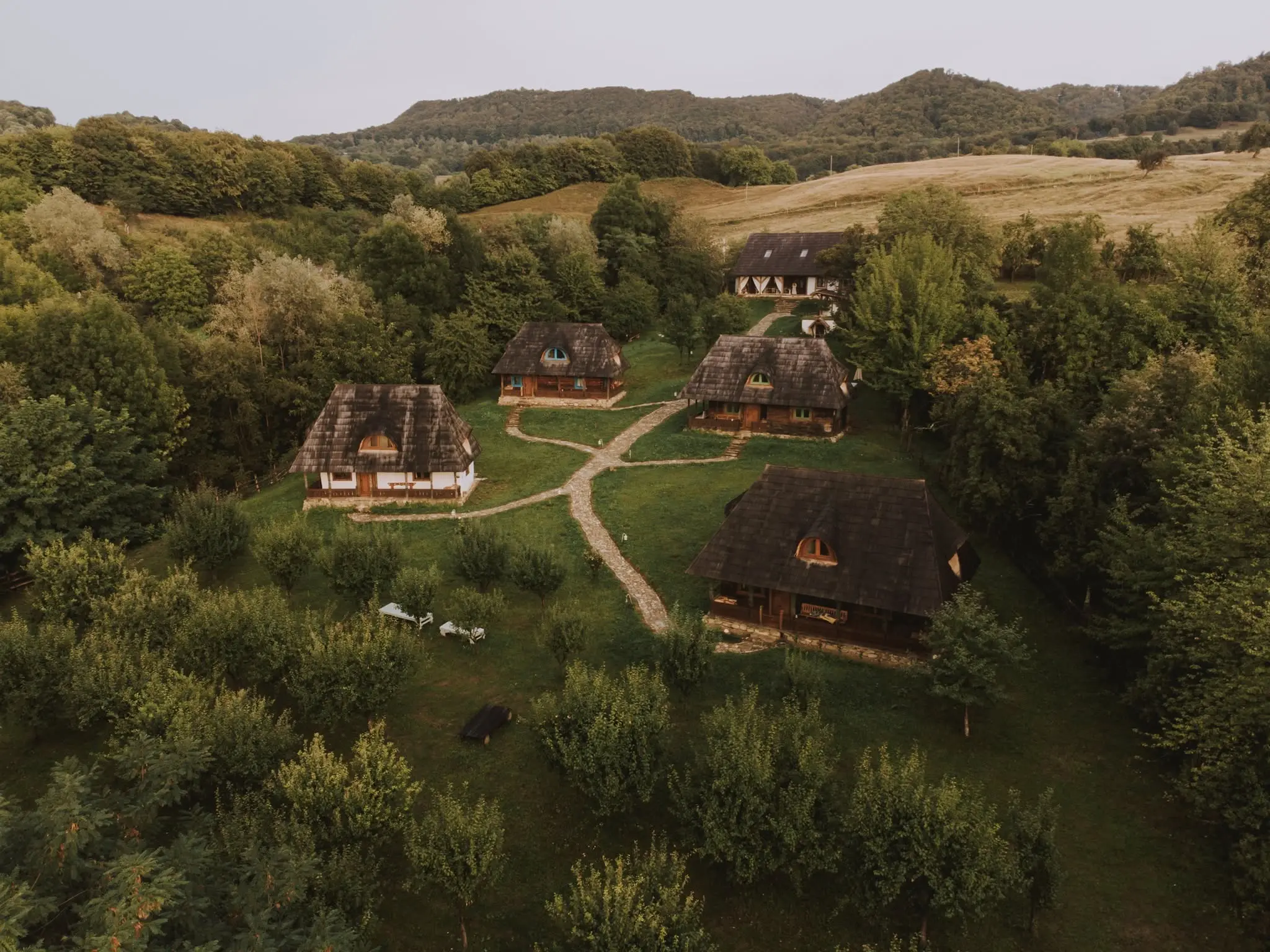 Cerc de dimineață într-un cort deschis spre pădure, la retreat